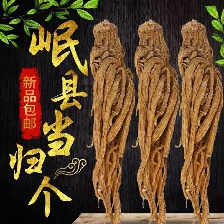 当归个头干货无熏染无添加自然风干晾晒甘肃岷县农家直发