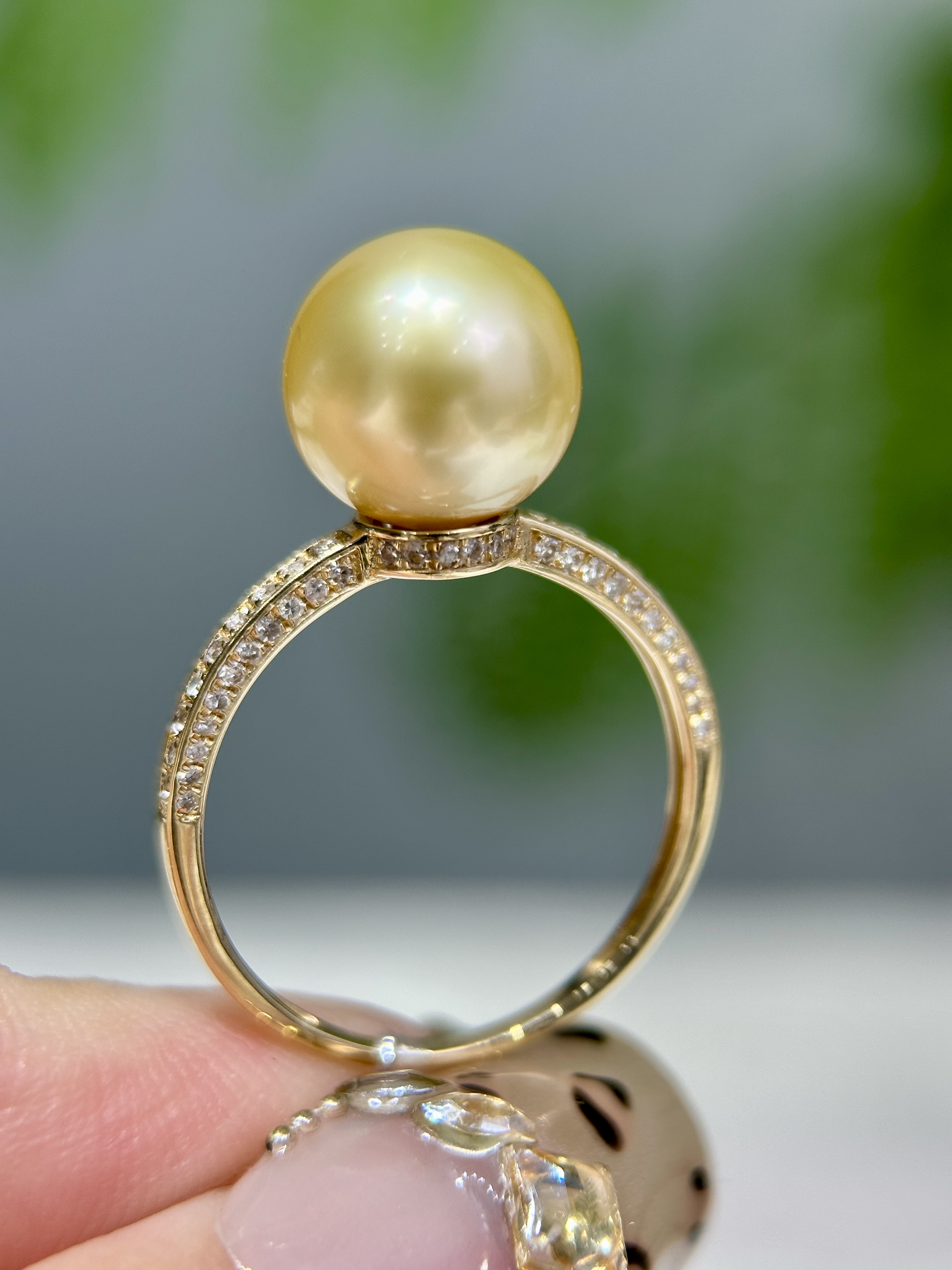 简约天然海水南洋珍珠戒指18k金锆石镶嵌9-10mm时尚