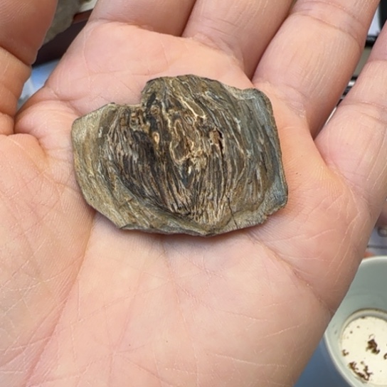 沉香摆件?*隐海南野生虎斑棋1.74克