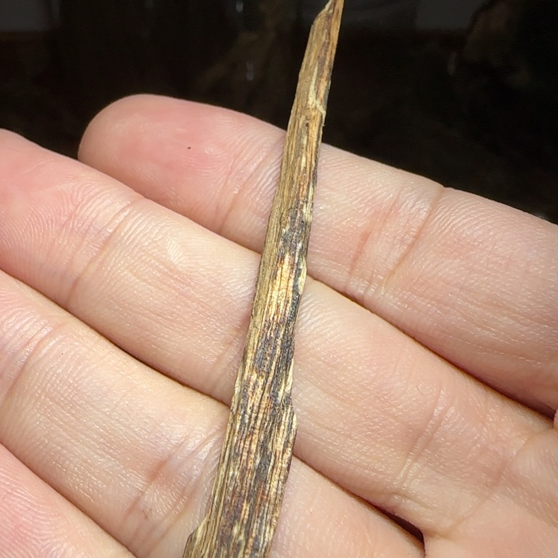 ****望沉香沉香碎屑海南紫棋标本