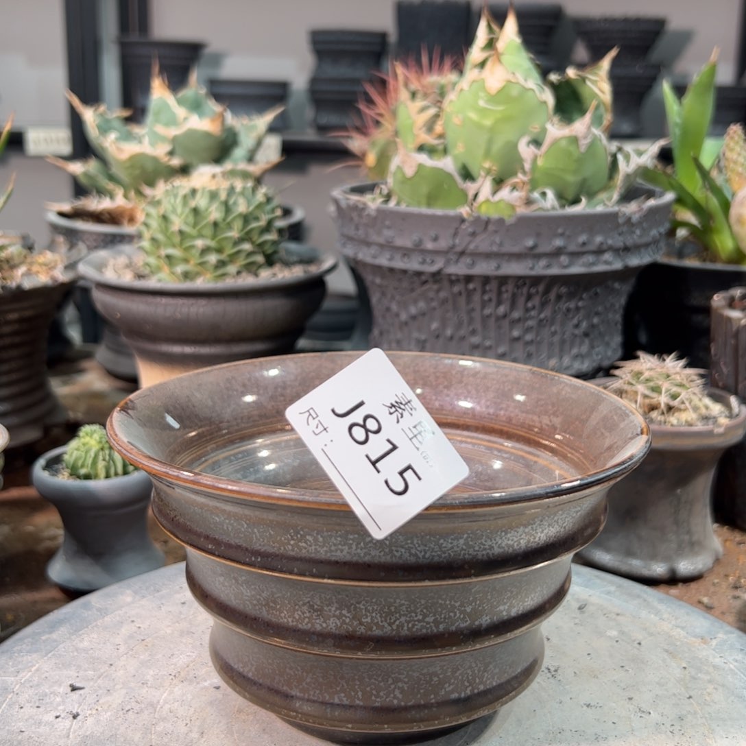 景德镇手工素里内口16.5高9.5