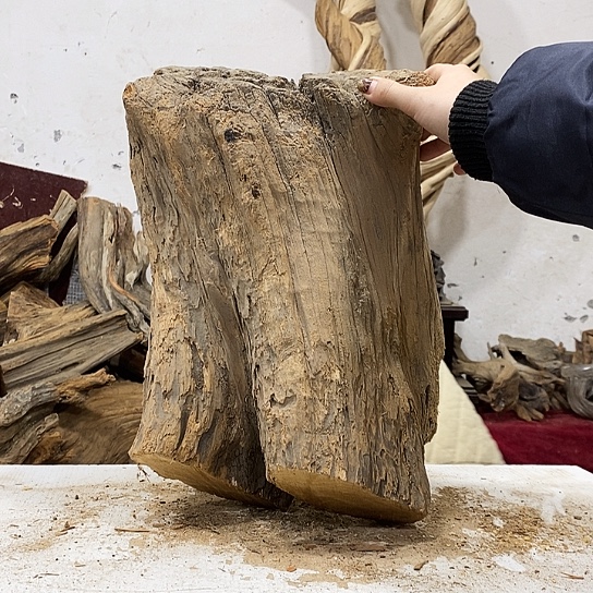 ****.柏木我们都是好孩子