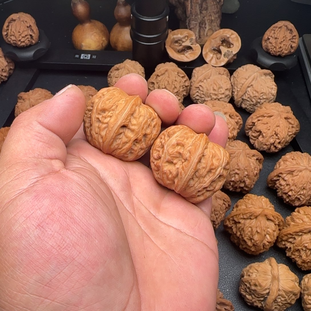 T***i40尺元宝微黄尖无修