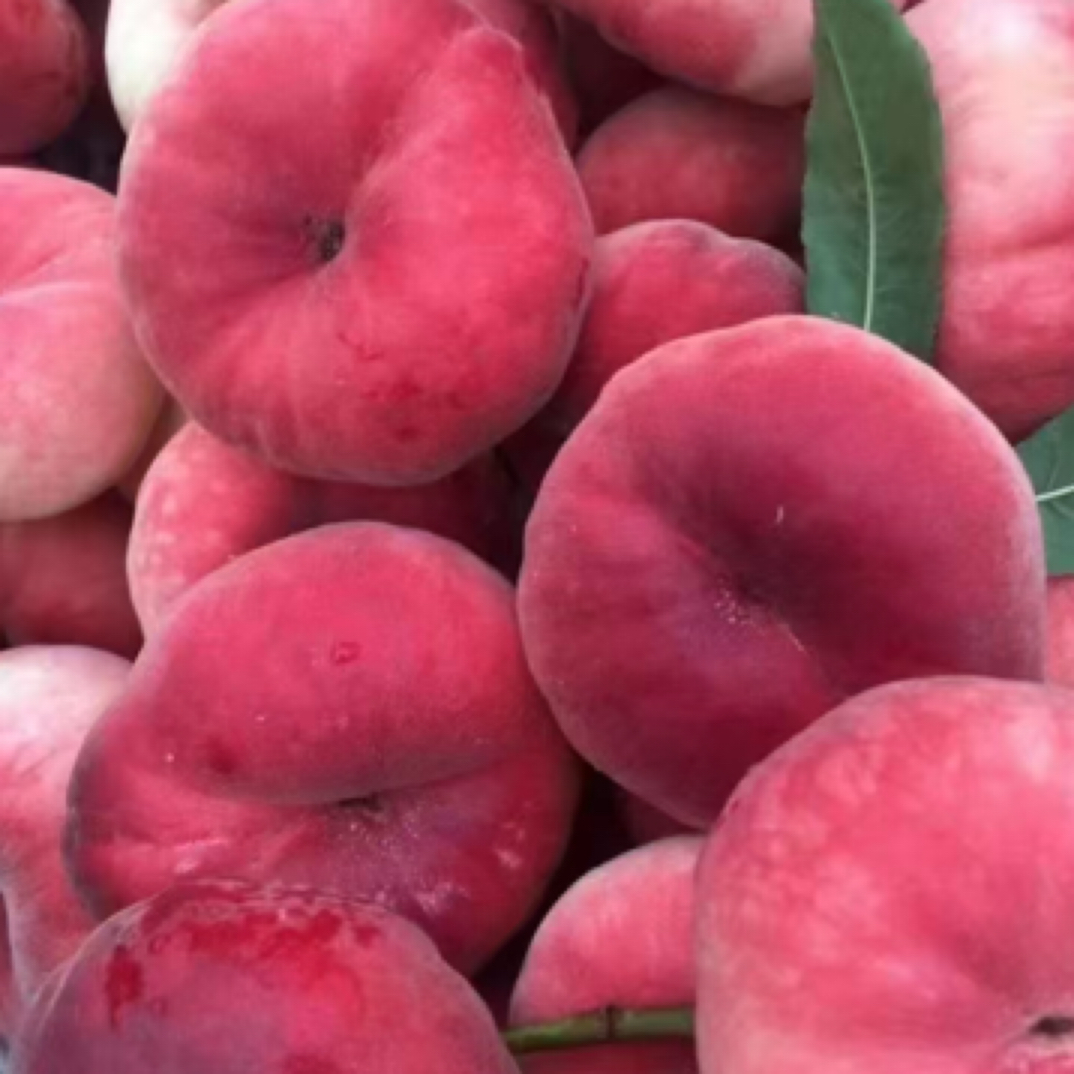 平谷桃蟠13号 脆甜口普通装桃子同城送北京市