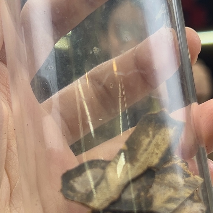 沉香碎屑沉香直切珠单圈