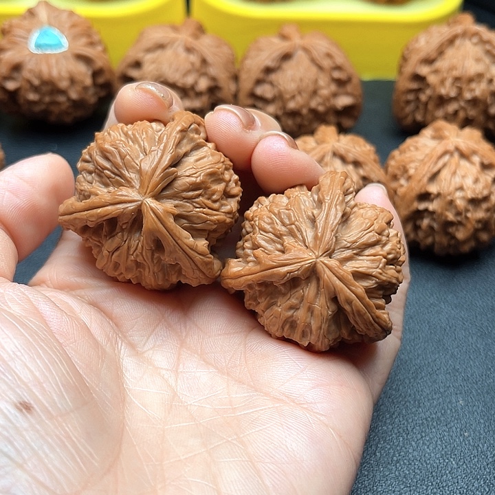 裤***腿核桃40尺白狮子拼接饶了你