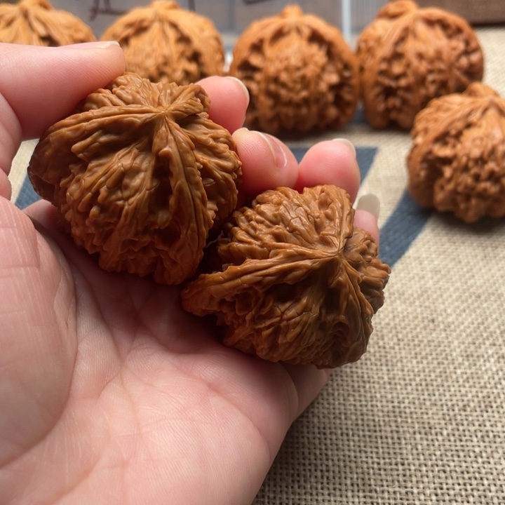 文***道核桃白狮子39核桃