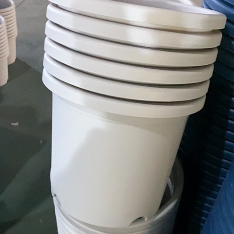 树脂微瑕5号6个无托灰白