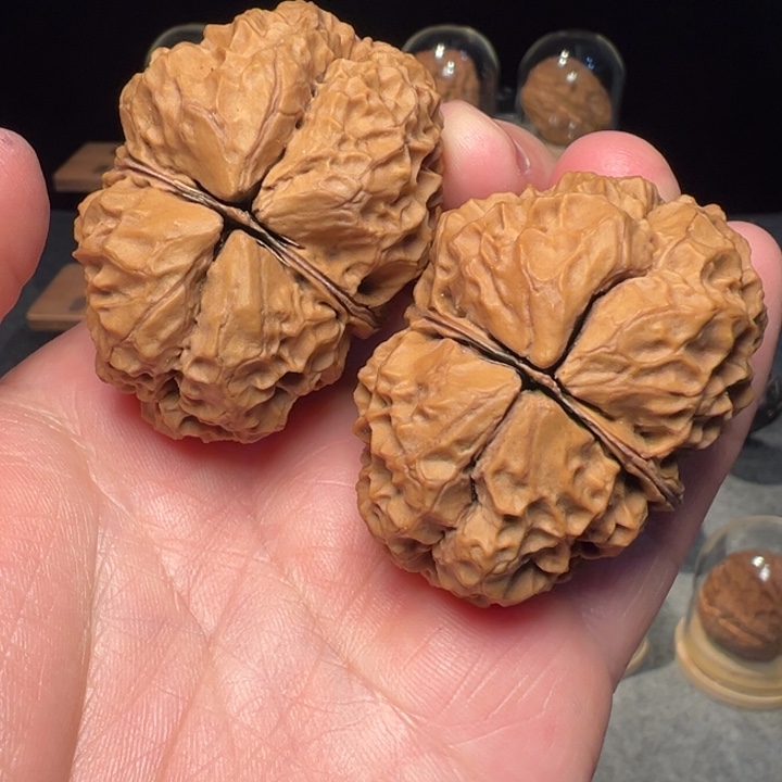 文玩核桃把件苍龙古蟾49.5mm