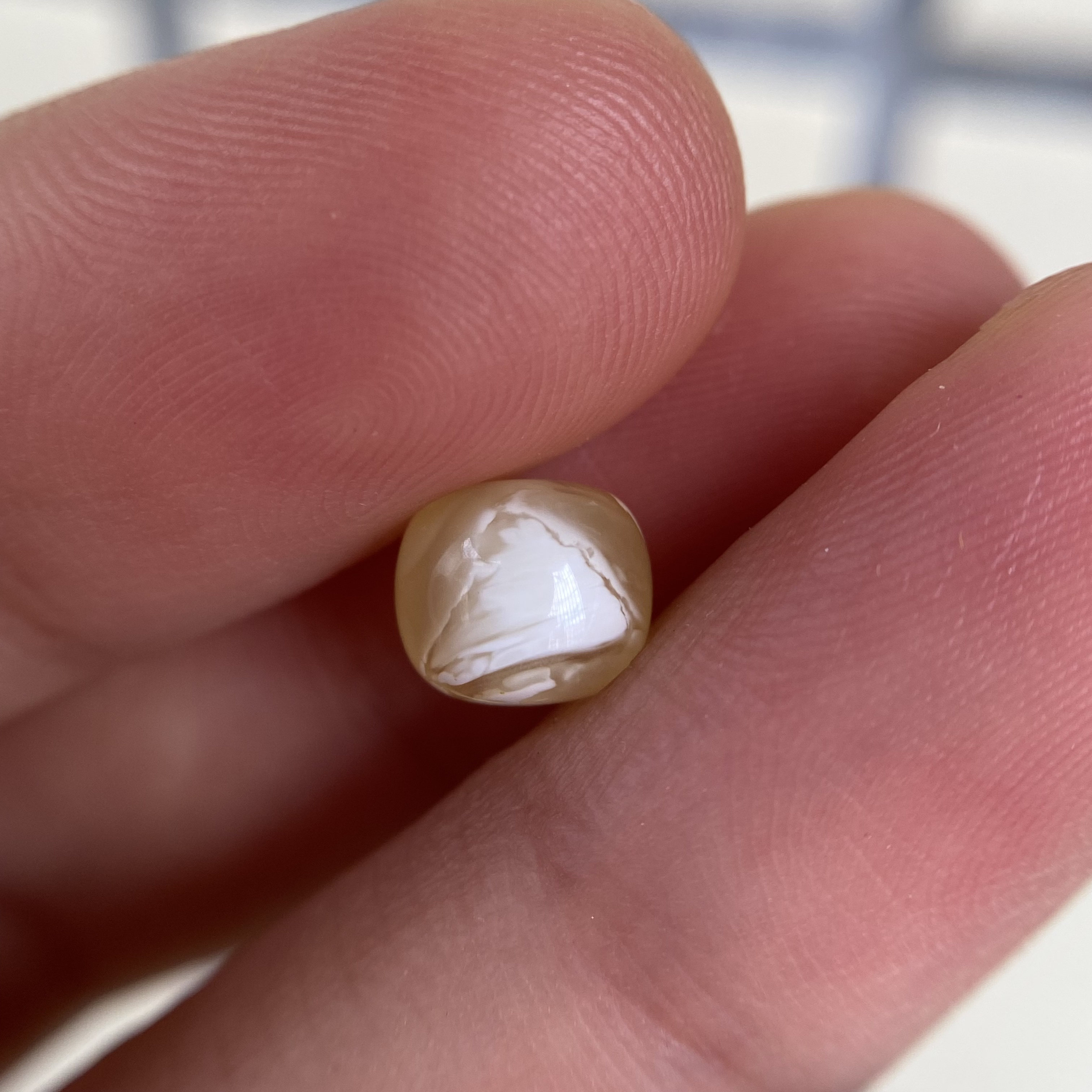蜜蜡金白老型配饰7.5×6.5mm，挺好看，无优化保天然