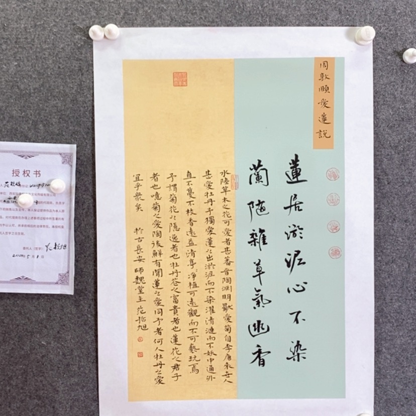 【闪购商品】书法书法作品欣赏，书法书法作品