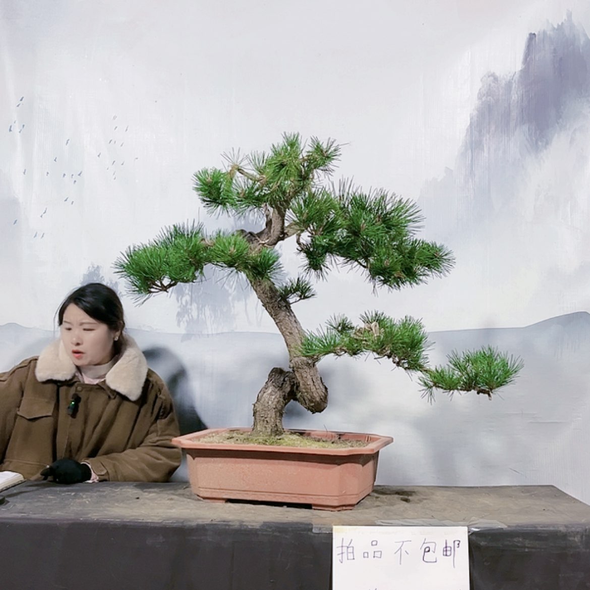 【闪购商品】无花朵运费到付 