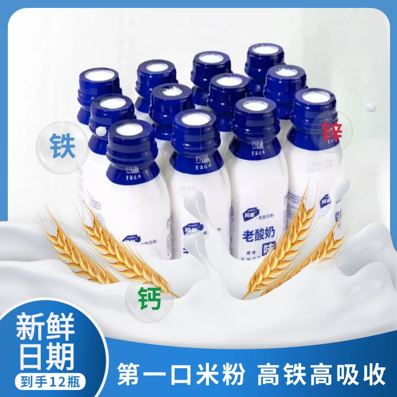 工厂直发老牌子原味乳酸菌奶发酵学生营养早餐饮品低脂老酸奶整箱