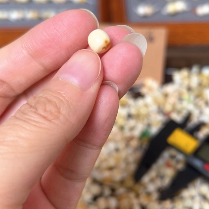 蜜蜡未镶嵌裸石6.9mm一个