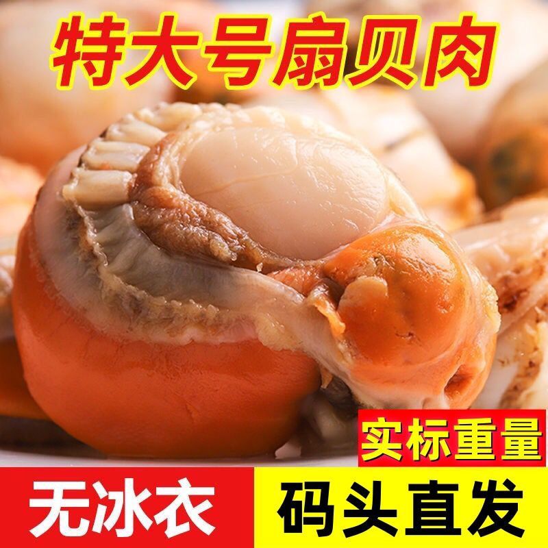 4大斤新鲜速冻带黄大个扇贝肉饱满肉厚无泥沙无壳无冰