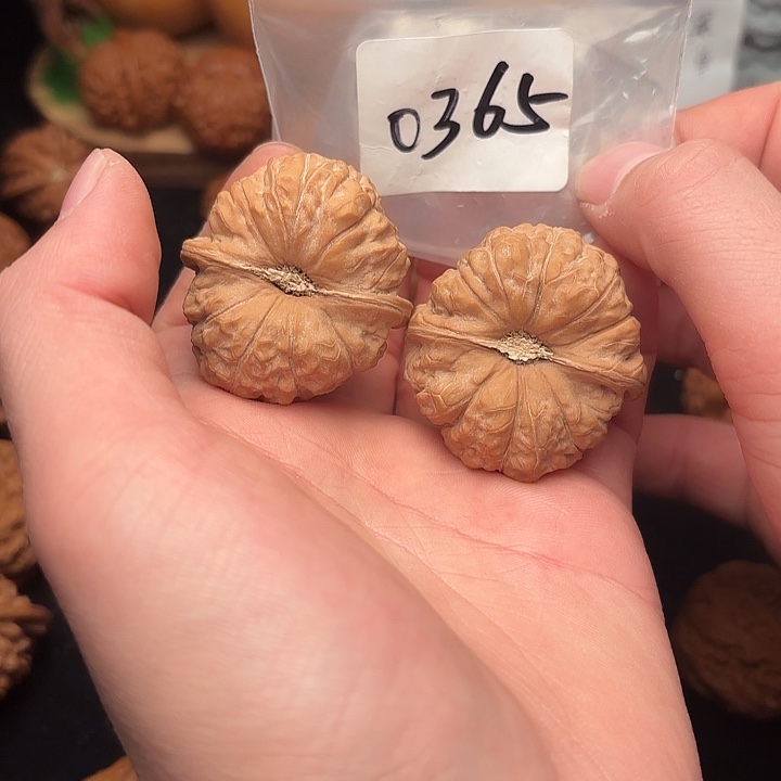 文玩核桃把件42 尺 南瓜墩   