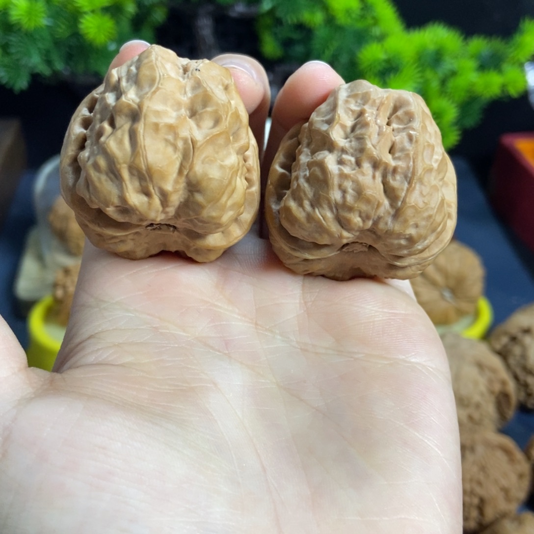 核桃核桃把件文玩1