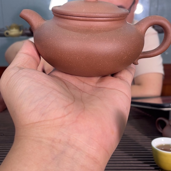 茶壶紫砂哈哈哈哈哈这是一种什么