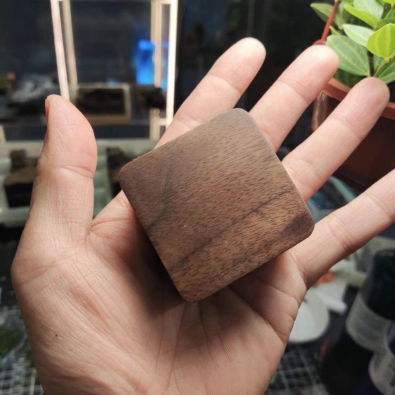 入场券----博物馆大礼/信任无价/神秘大礼/饰品盒/