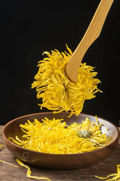 正宗安徽黄山金丝皇菊高山茶养生茶一朵一杯耐泡搭配黄芪枸杞泡水