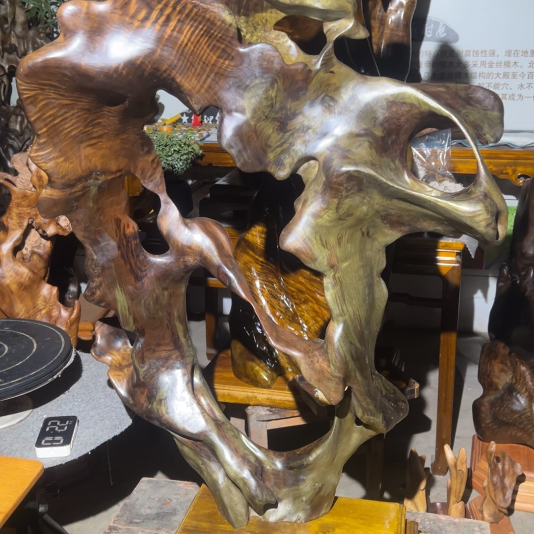 金丝楠1111111111111111