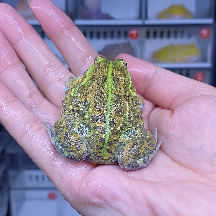 特价秒杀现货特价