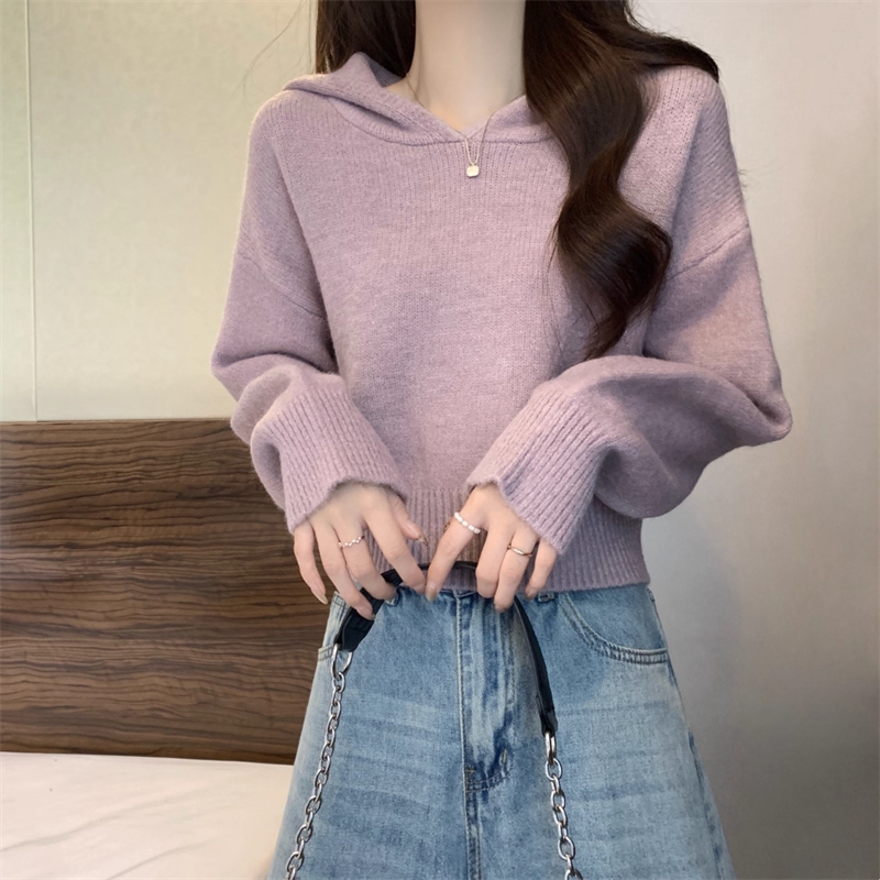 连帽毛衣女2025秋冬新款软糯小个子短款慵懒宽松显瘦套头针织上衣