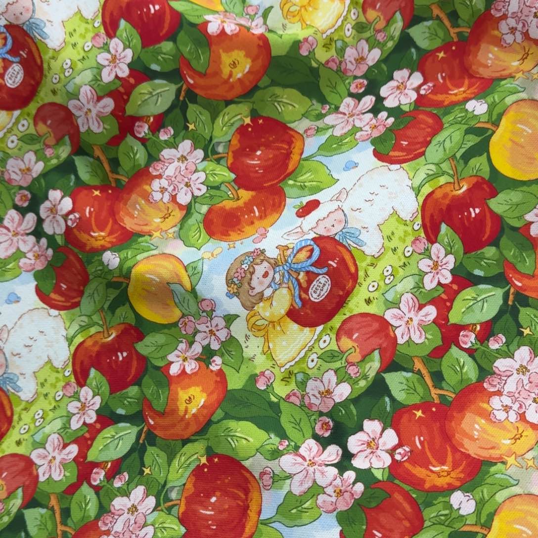 棉1米价纯棉定制粗帆布X1.5米宽B