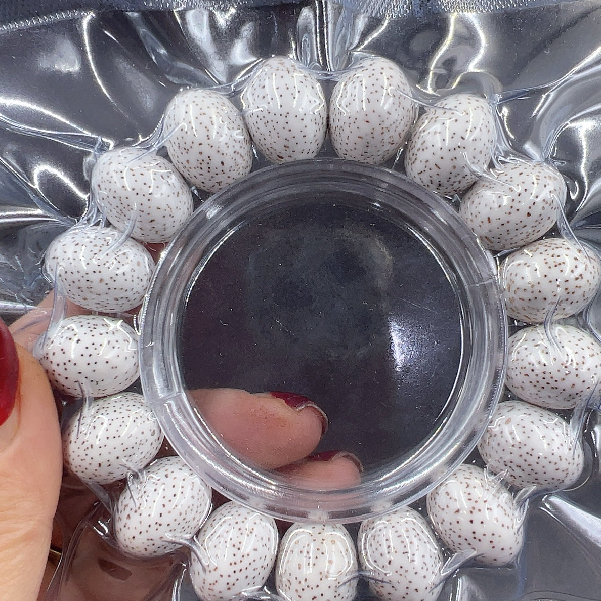 星月菩提精品细星脱脂大尺寸玄月苹果18/14