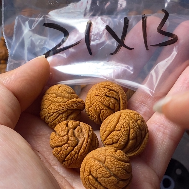 手串文玩核桃秦岭野生龙纹桃核21