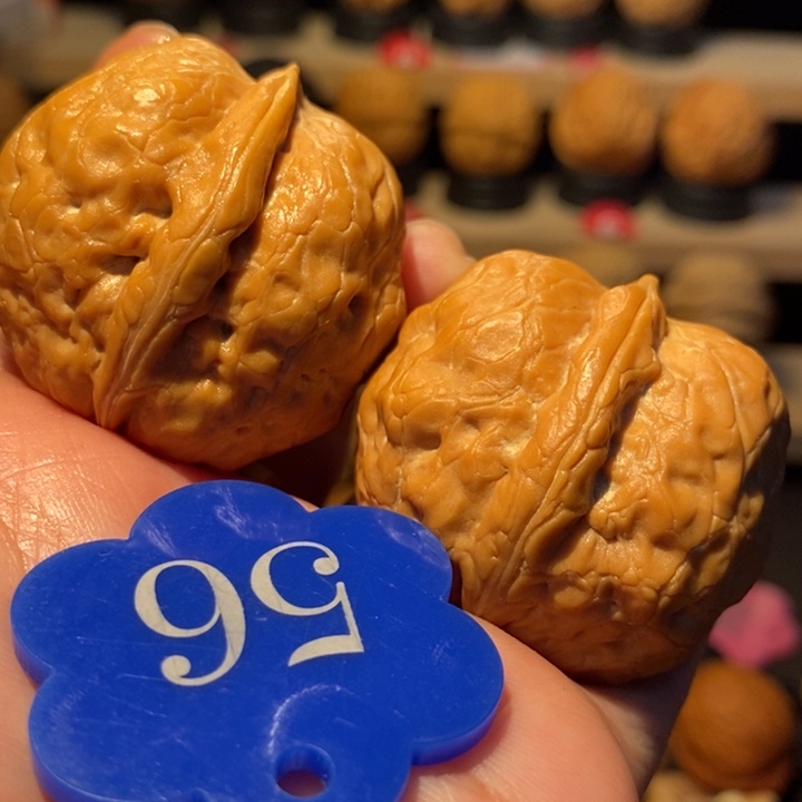 木质类粗筋二炸元宝39尺寸