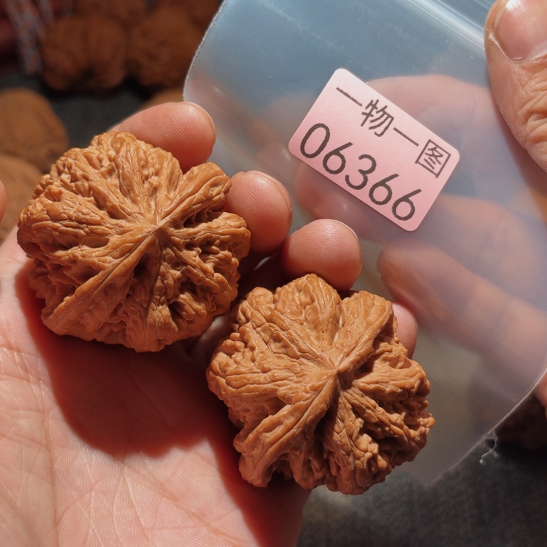 文玩核桃把件粗筋