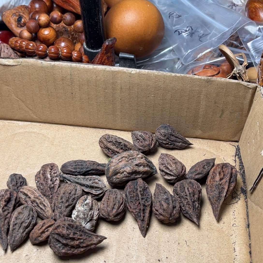 手串文玩核桃核桃74