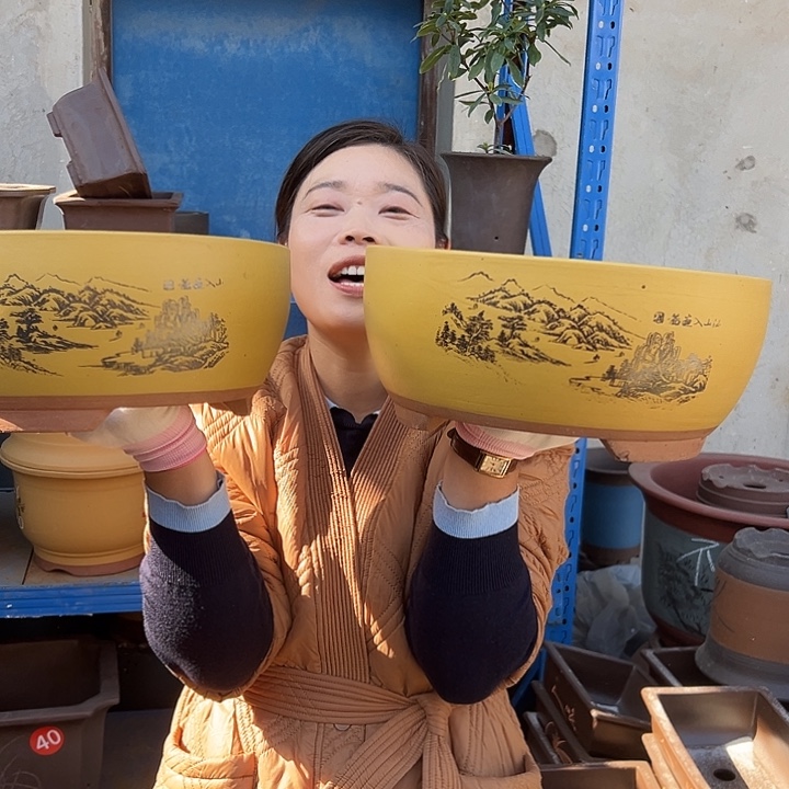 黄色江山如画中一对花盆花盆