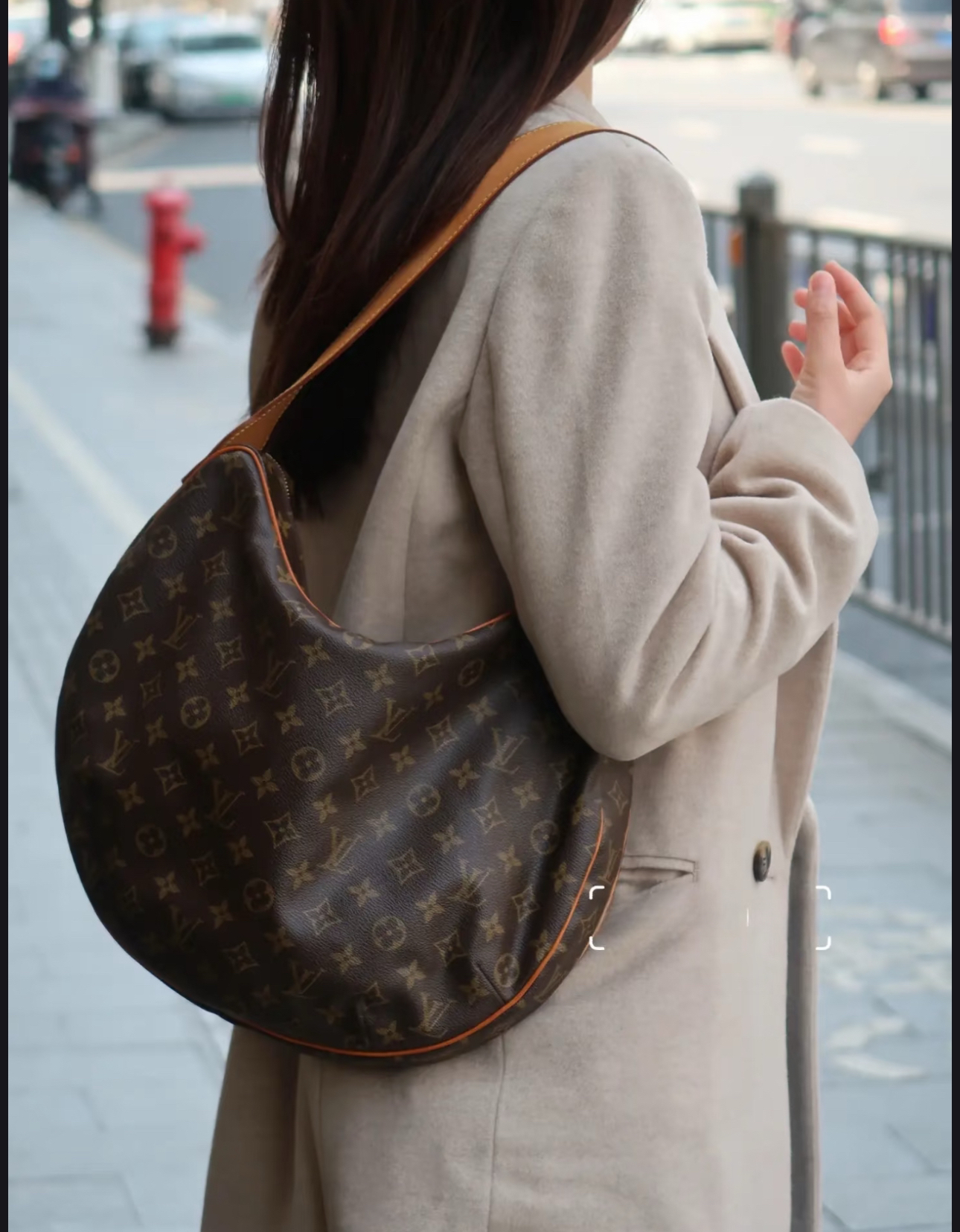 95新 LouisVuitton/路易威登 老花大号豌豆单肩包