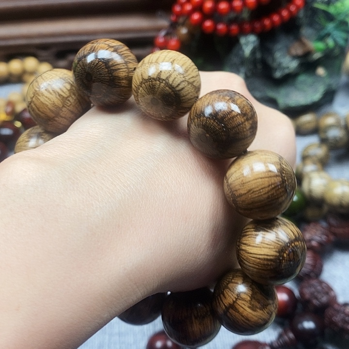 海***洋手串/手链藤类买麻藤