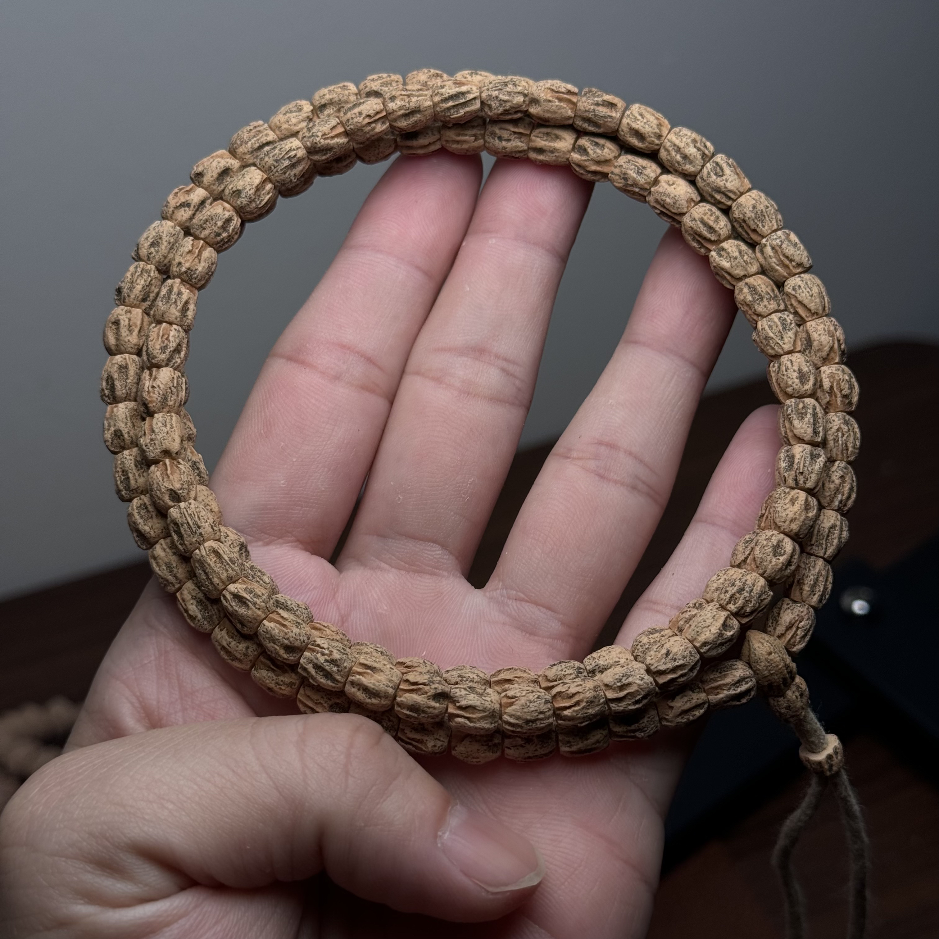 热振柏香籽高桩麻皮脏鬼顺