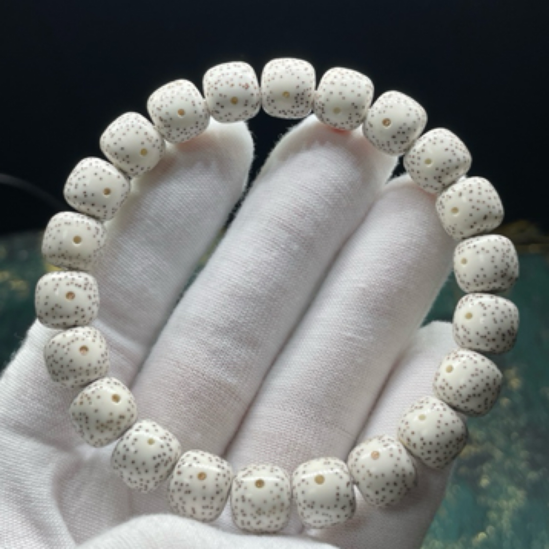 懿缘 SS双金款11×10原脂白同枝一物一图月朗星稀高端星月菩提文玩