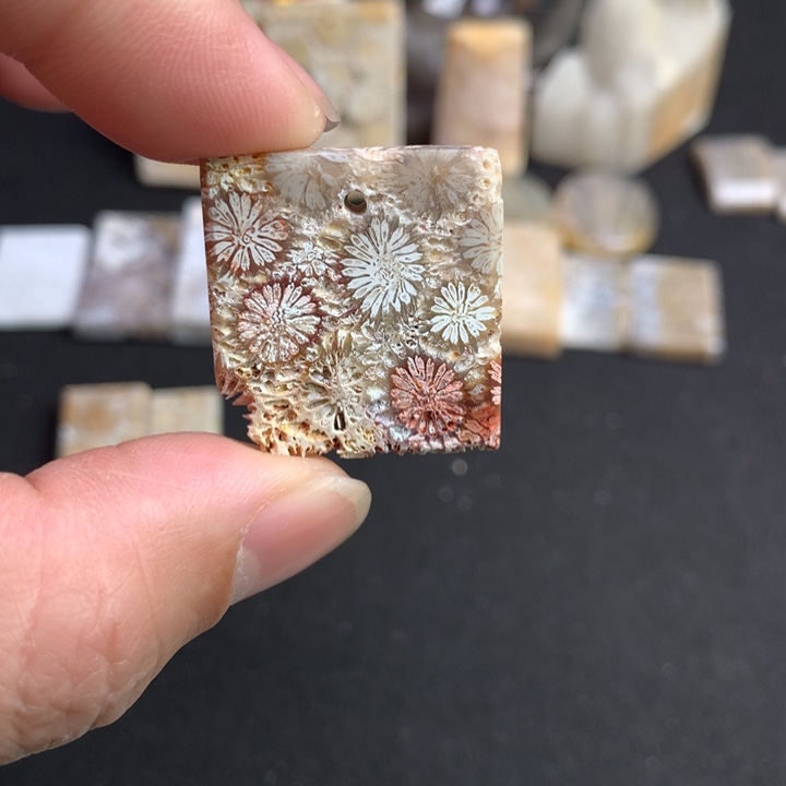 【闪购商品】硅化珊瑚（珊瑚玉）颈饰未镶嵌
