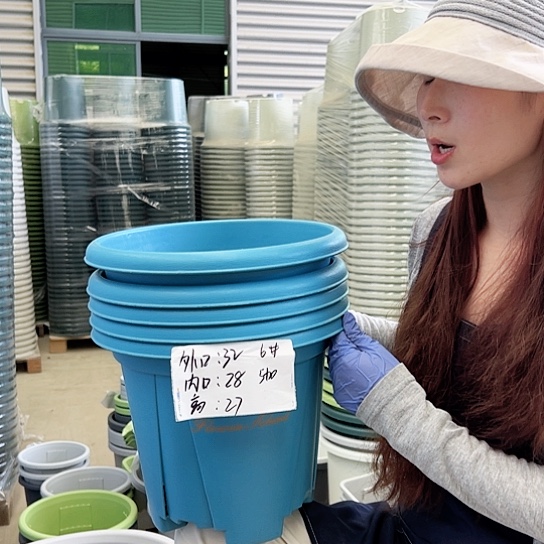 青山盆6#天蓝色5个无托