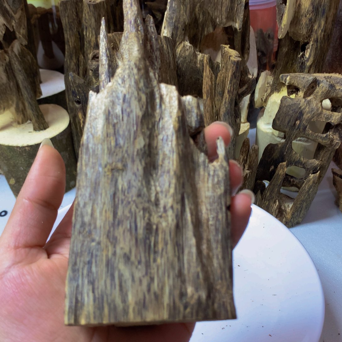 沉香沉香碎屑紫奇虫漏110克