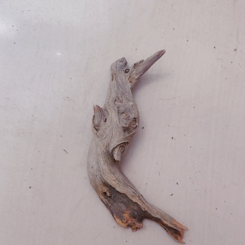 【闪购商品】柏木雷*板太行天下第一