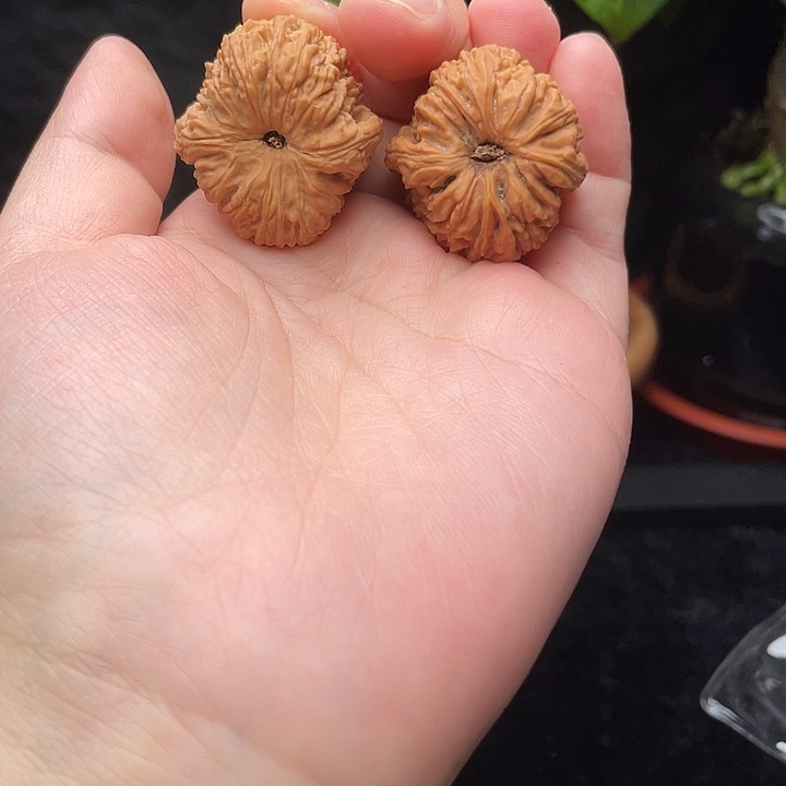 孙***云文玩核桃吊坠物美价廉