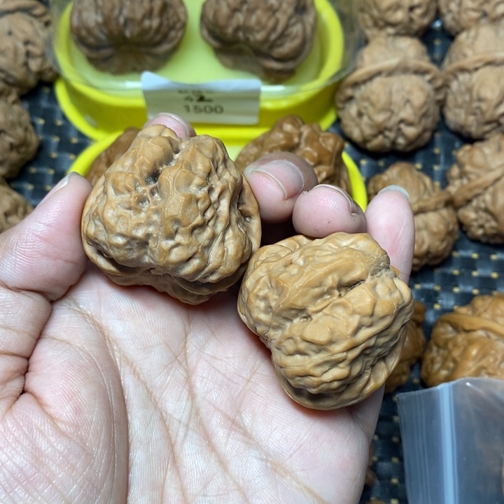 文玩核桃把件蛤蟆头38