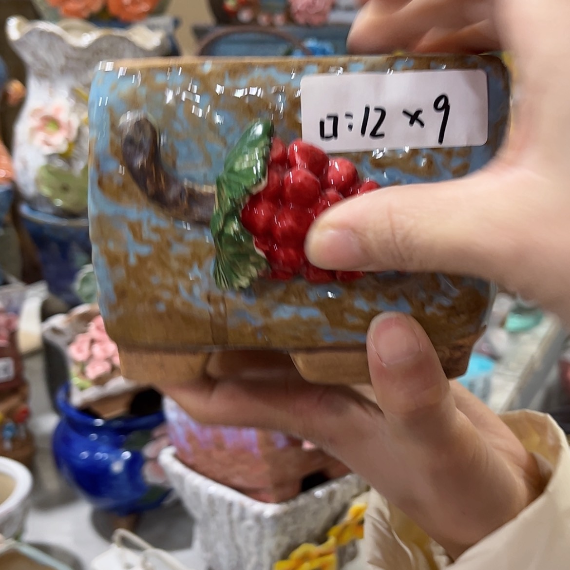 【闪购商品】红陶福利