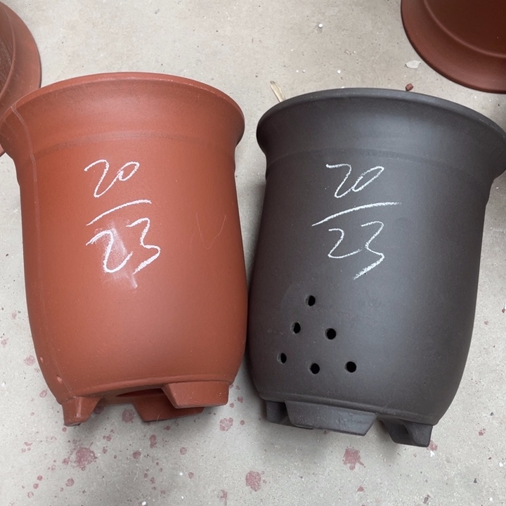 紫砂紫砂紫砂紫砂中。