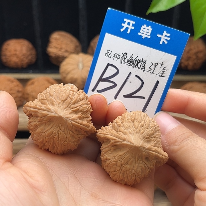 文玩核桃吊坠全品白茬泥鳅背39