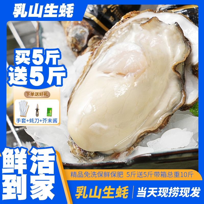 【7XL 巨无霸】正宗乳山生蚝牡蛎新鲜原产地海鲜水产精品级团购10斤