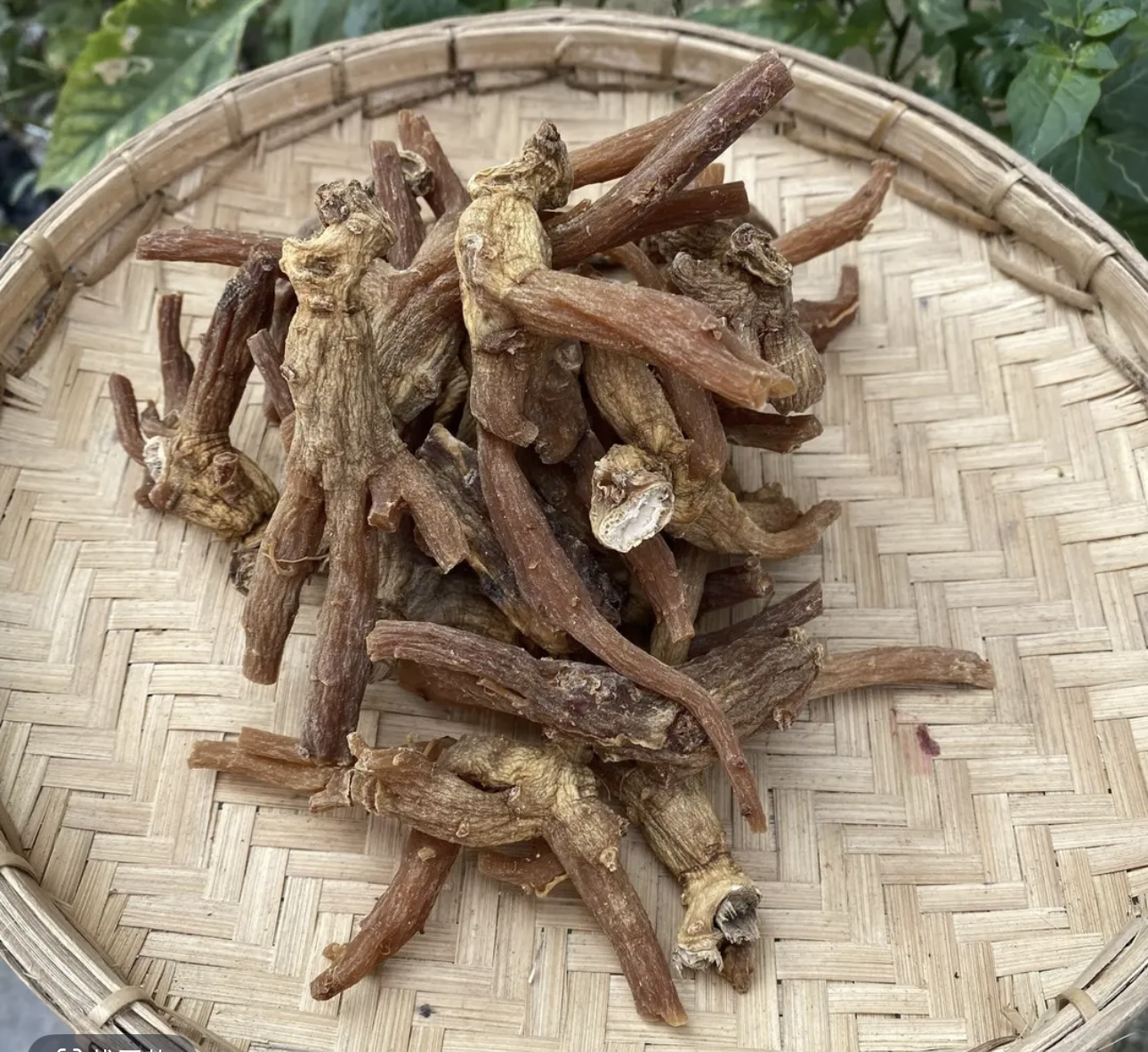 中缅山货-现收土特产/原参（高丽参）