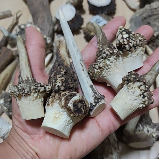 纯铜石英石菜***羊怪形鹿角